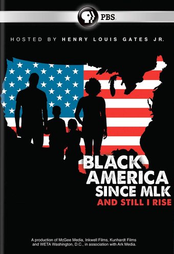 Black America Since MLK: And Still I Rise (2-DVD)