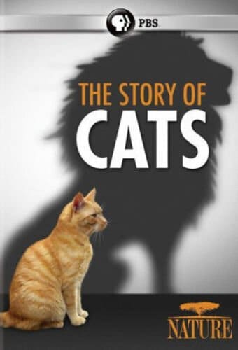 PBS - Nature: The Story of Cats