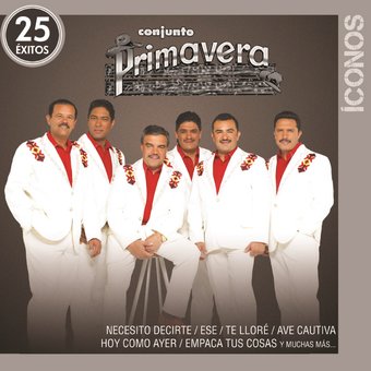 Iconos 25 Exitos (2-CD)