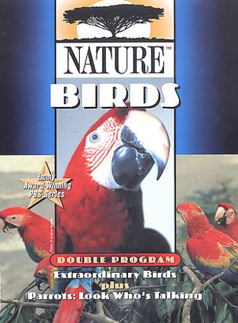 Nature - Birds