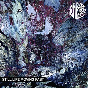 Still Life Moving Fast