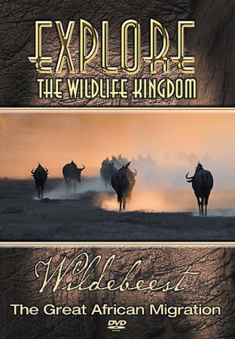 Explore the Wildlife Kingdom - Wildebeest: The