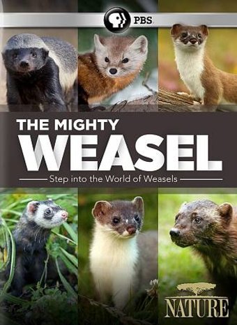Nature: The Mighty Weasel