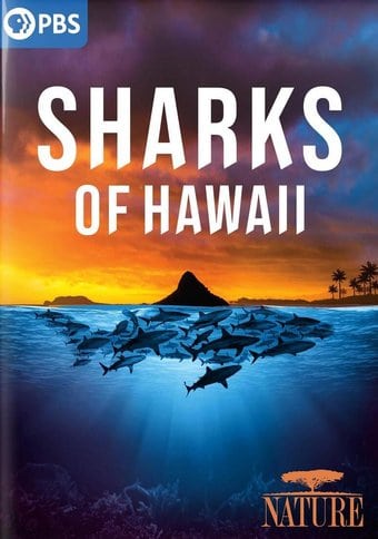 PBS - Nature: Sharks of Hawaii