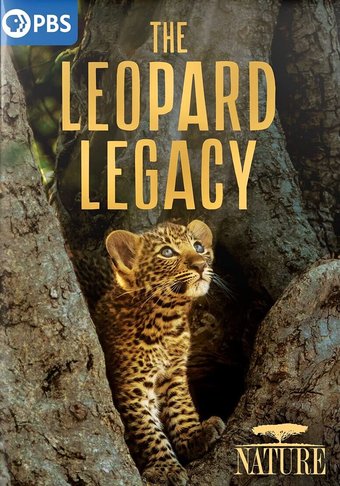 PBS - Nature: The Leopard Legacy