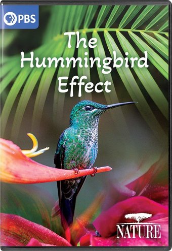 Nature: The Hummingbird Effect