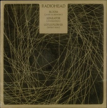 Radiohead Remixes/Bloom [Jamie XX