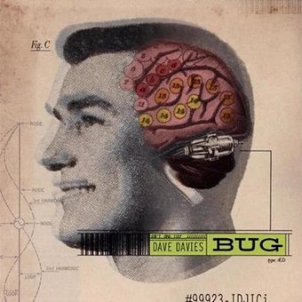 Bug (Rsd 2021)