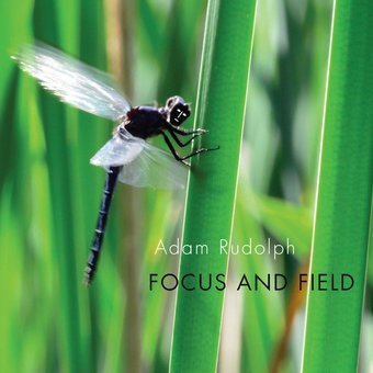Focus & Field