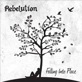 Falling Into Place [Slipcase]