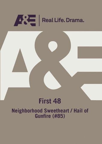 The First 48: Neighborhood Sweetheart; Hail of