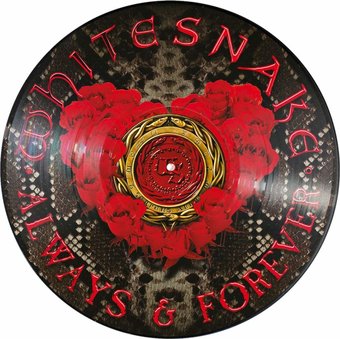 Always & Forever (12" Picture Disc - Limited