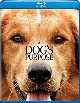 A Dog's Purpose (Blu-ray)