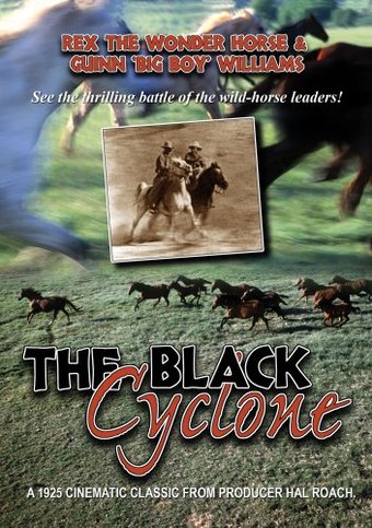 The Black Cyclone (Silent)