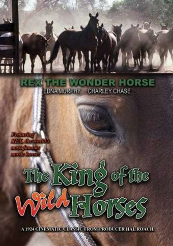The King of the Wild Horses (Silent)