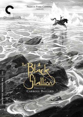 The Black Stallion (Criterion Collection) (2-DVD)