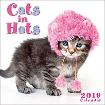 Cats in Hats - 2019 - Wall Calendar