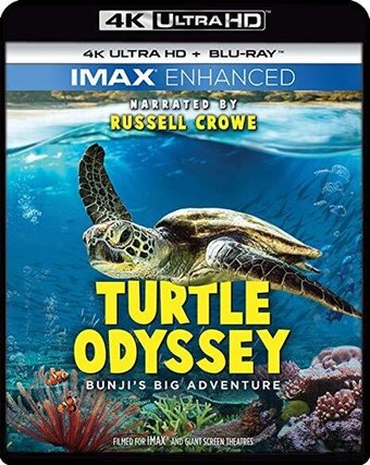 Turtle Odyssey (4K UltraHD + Blu-ray)