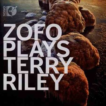 Plays Terry Riley (Wbra)