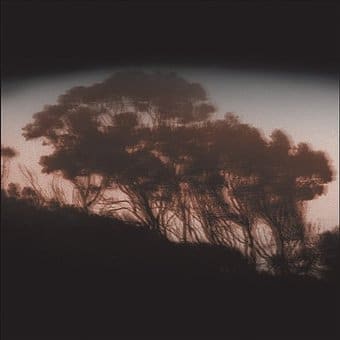 Jim Strange/Eli August [Split 7"] [Single]