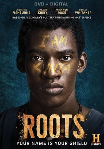 Roots (3-DVD)