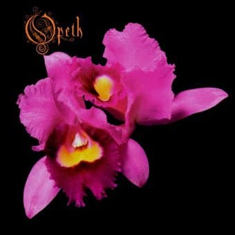 Orchid (Reissue)