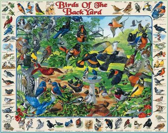 Birds of the Backyard Puzzle (1000 Pieces)