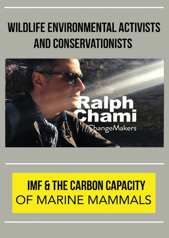 Changemakers Ralph Chami / (Mod)