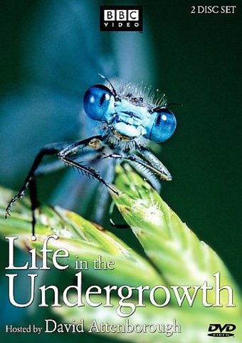 BBC - Life in the Undergrowth (2-DVD)
