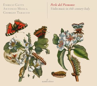Perle del Piemonte: Violin Music in 18th Century