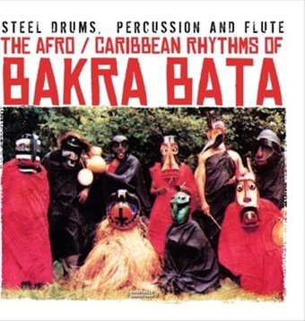 Steel Drums, Percussion & Flute