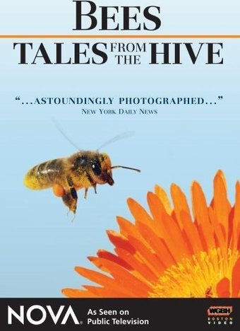 Nova - Bees - Tales From the Hive