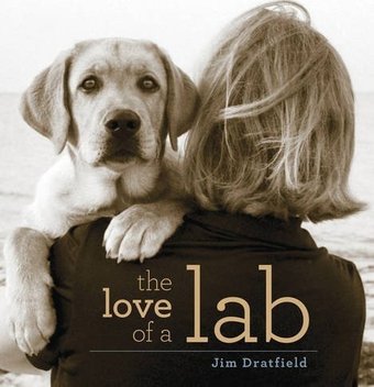 The Love of a Lab