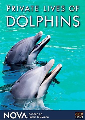 Nova - Private Lives of Dolphins