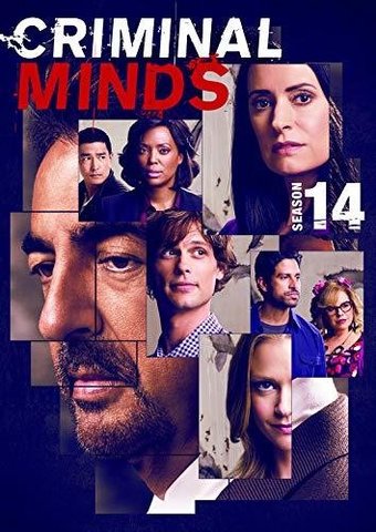 Criminal Minds - Season 14 (4-DVD)