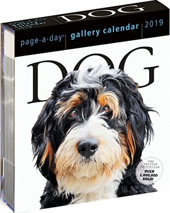 Dog Page-a-Day® Gallery - 2019 - Box Calendar