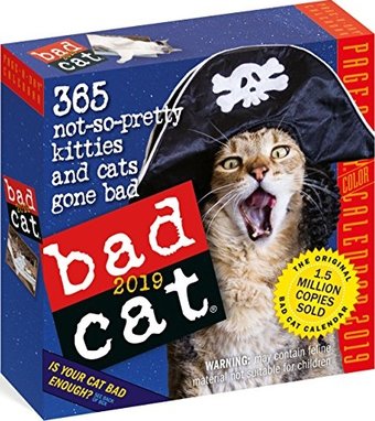Bad Cat Color Page-a-Day® - 2019 - Box Calendar