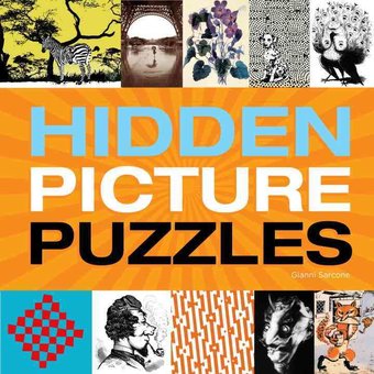 Optical Illusions: Hidden Picture Puzzles