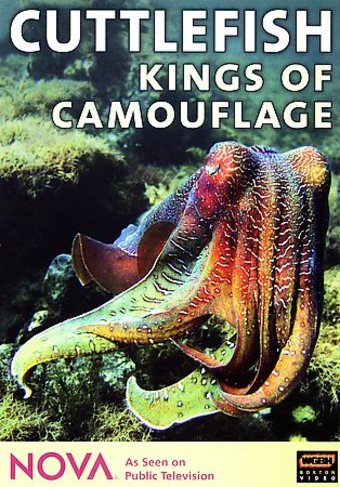 Nova - Cuttlefish - Kings of Camouflage