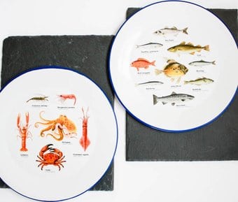 Sea Life - Set of 2 Enamel Plates Sea Life - Set of 2 Enamel Plates
