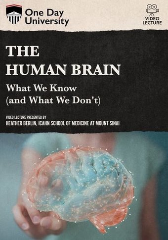 The Human Brain: What We Know (And What We Don't)