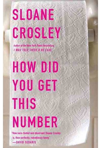 How Did You Get This Number: Essays