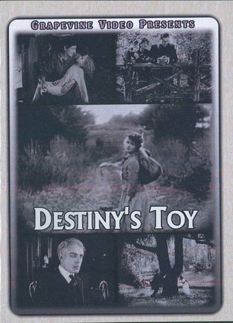 Destiny's Toy