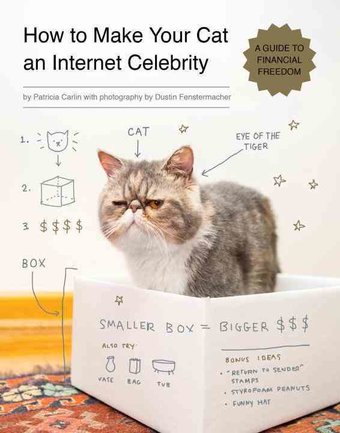 How to Make Your Cat an Internet Celebrity: A