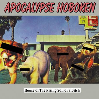 House Of The Rising Son Of A Bitch - Green (Colv)