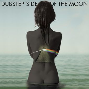 Dubstep Side Of The Moon / Various (Rmx)
