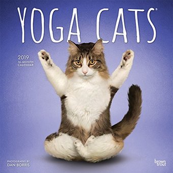 Yoga Cats - 2019 - Wall Calendar