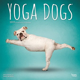 Yoga Dogs - 2019 - Wall Calendar