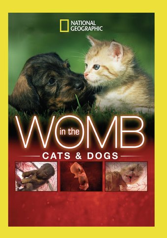 National Geographic - In the Womb: Cats & Dogs