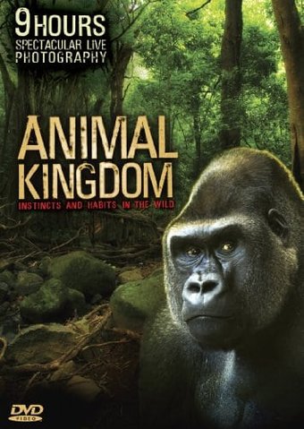Animal Kingdom: Instincts and Habits in the Wild